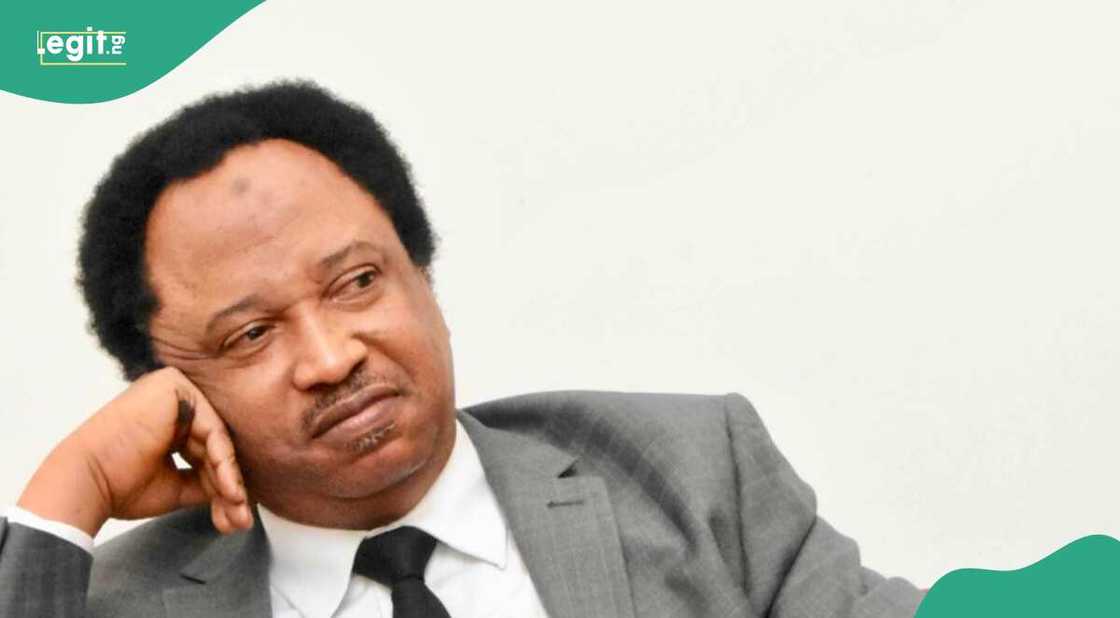 Sanata Shehu Sani Sanata Shehu Sani