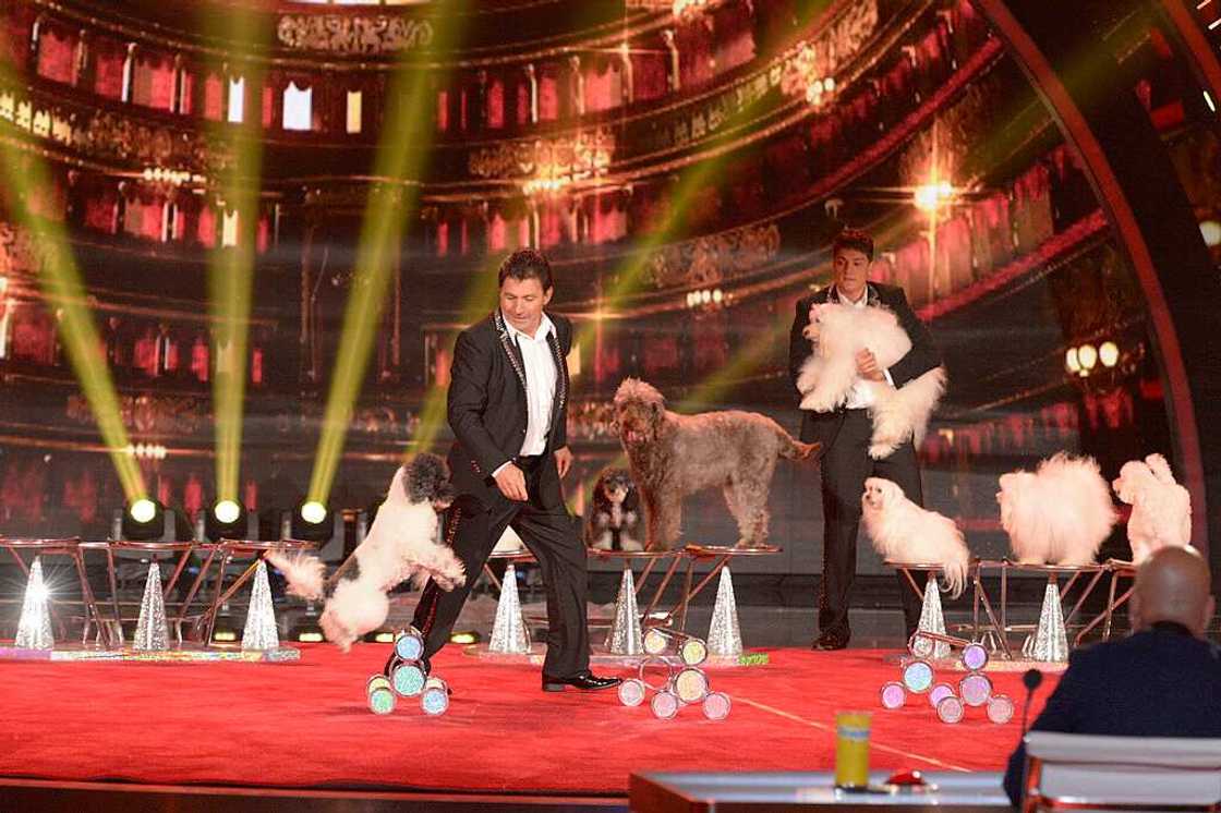 Who won AGT? Who won AGT?