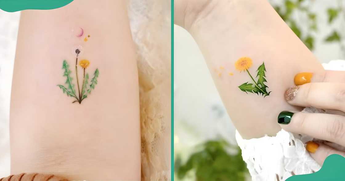 Colourful minimalist tattoos of the partial or entire dandelion plant. Colourful minimalist tattoos of the partial or entire dandelion plant.