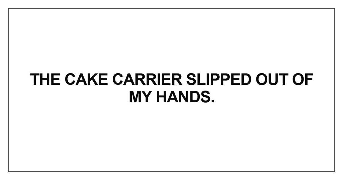 The cake carrier slipped out of my hands