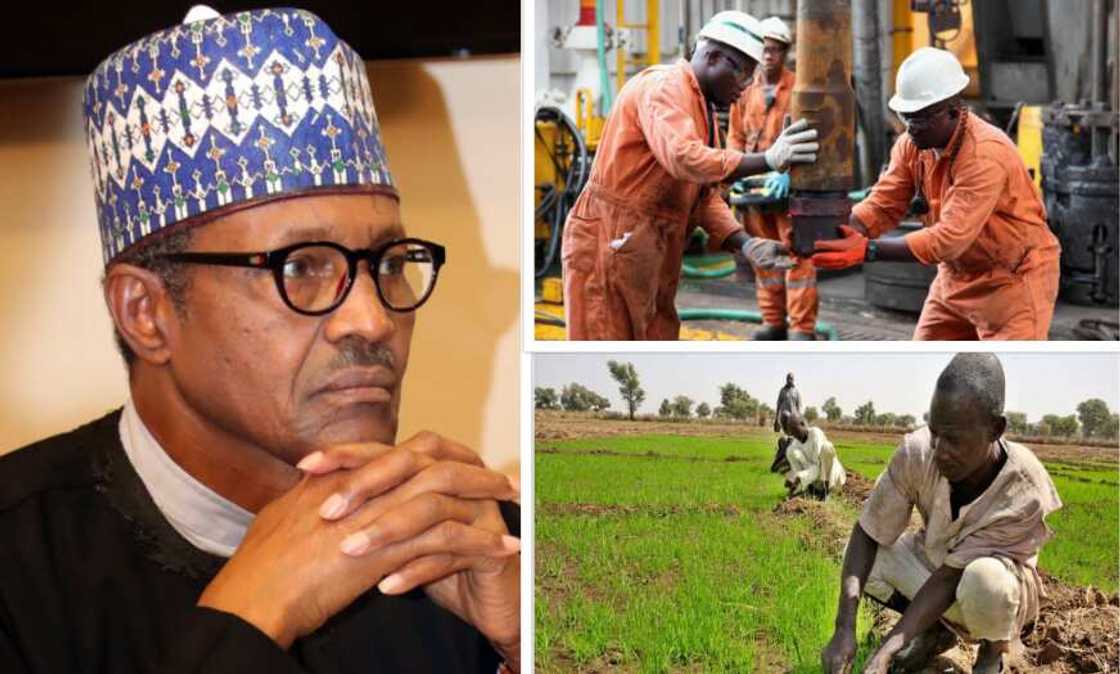 Trade, ICT, oil and 7 other top sectors of Nigeria’s economy Trade, ICT, oil and 7 other top sectors of Nigeria’s economy