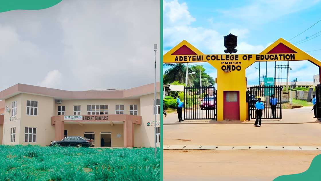 The college library and entrance to the main gate
