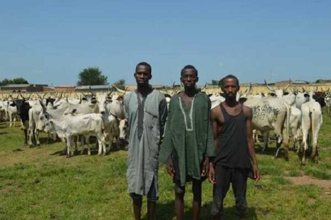 Kayan sojoji mu ke karba haya idan zamu fita aiki - Mai garkuwa da mutane Kayan sojoji mu ke karba haya idan zamu fita aiki - Mai garkuwa da mutane