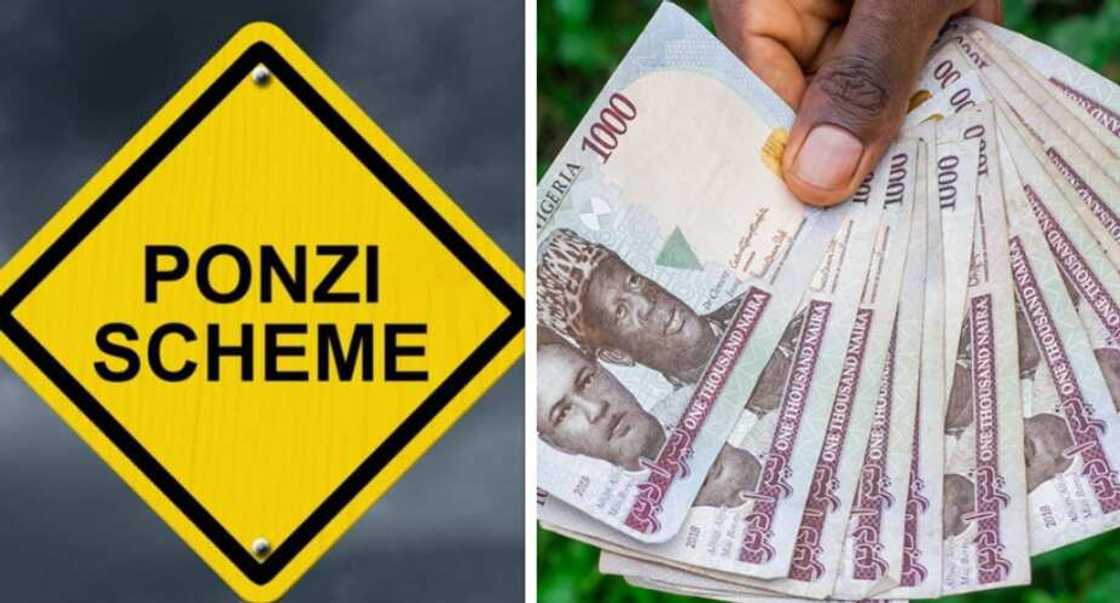Ponzi scheme Nigeria Ponzi scheme Nigeria