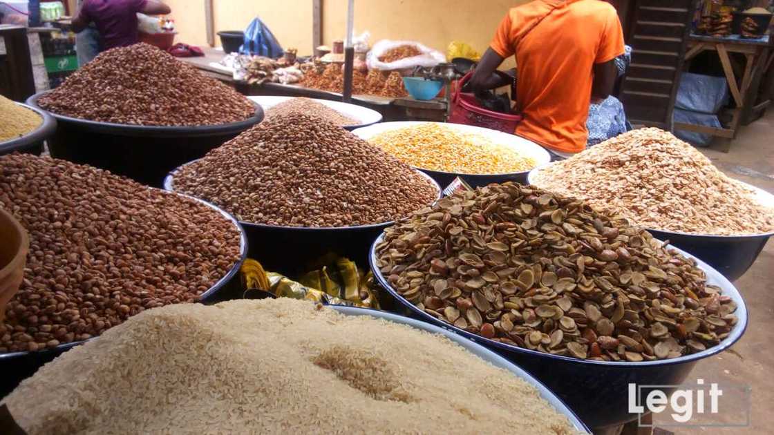 At the market this week, the cost price of crayfish increased further, sellers disclosed. Photo credit: Esther Odili At the market this week, the cost price of crayfish increased further, sellers disclosed. Photo credit: Esther Odili