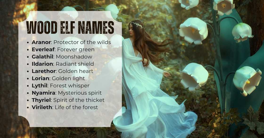 Female wood elf names Female wood elf names