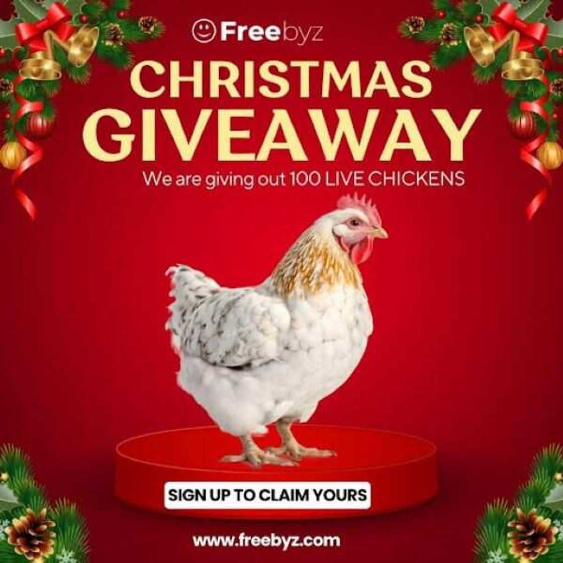 Unlocking Christmas Joy: Freebyz Giveaways Chicken and Rice for Social Media Workers Unlocking Christmas Joy: Freebyz Giveaways Chicken and Rice for Social Media Workers
