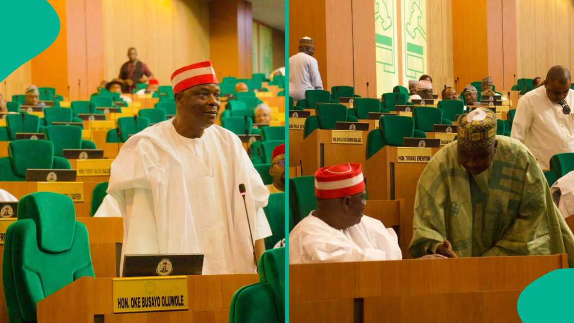 Kwankwaso, Ado Doguwa a majalisa Kwankwaso, Ado Doguwa a majalisa