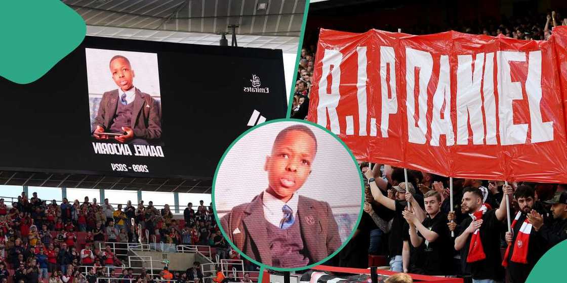 Daniel Anjorin/Arsenal fan Daniel Anjorin/Arsenal fan