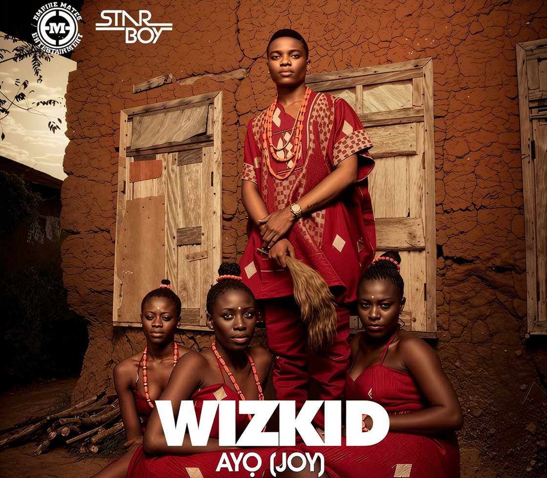 The cover art for The Shuffle by Wizkid The cover art for The Shuffle by Wizkid