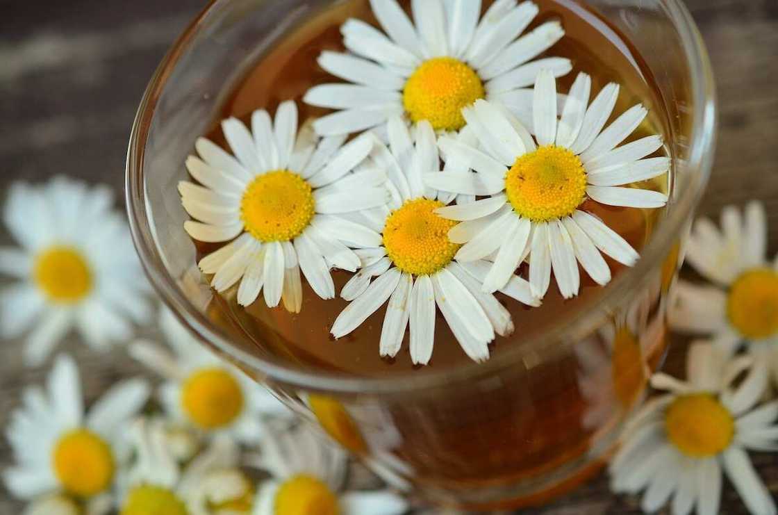 Diuretics for weight loss Diuretics for weight loss