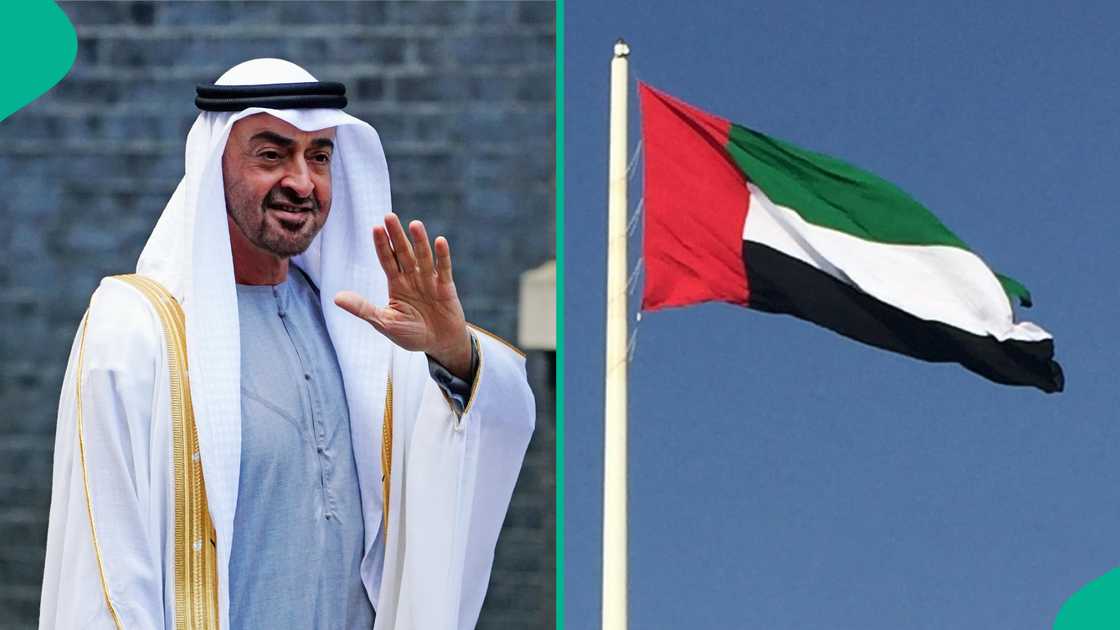 See 6 requirements for foreigners to get UAE entry visa