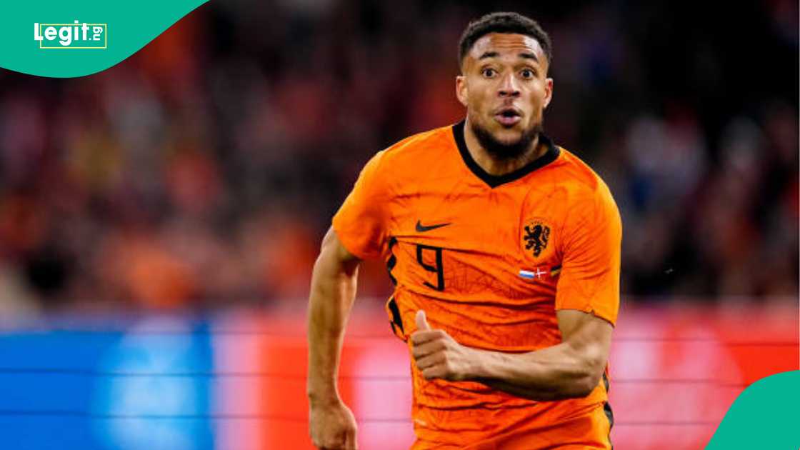 Arnaut Danjuma, Nigeria, Lagos, Dutch, Netherlands Arnaut Danjuma, Nigeria, Lagos, Dutch, Netherlands