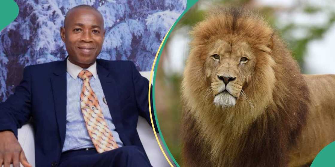 How OAU zookeeper was killed while trying to rescue woman from lion How OAU zookeeper was killed while trying to rescue woman from lion