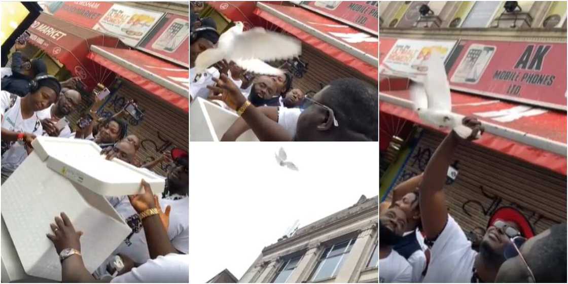 Weird MC and friends Weird MC and friends