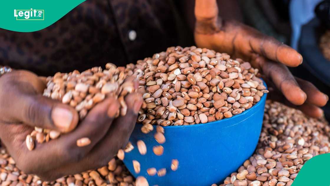 Nigeria Loses Over $360m Annually to EU Dried Beans Ban. Muhammad Rili, General Manager of the Kaduna Agricultural Development Agency (KADA), warned of continued use of hazardous pesticides.