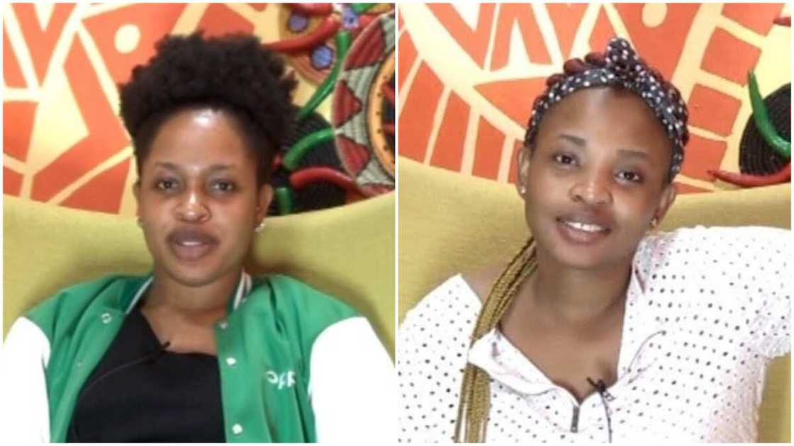 BBNaija news today BBNaija news today