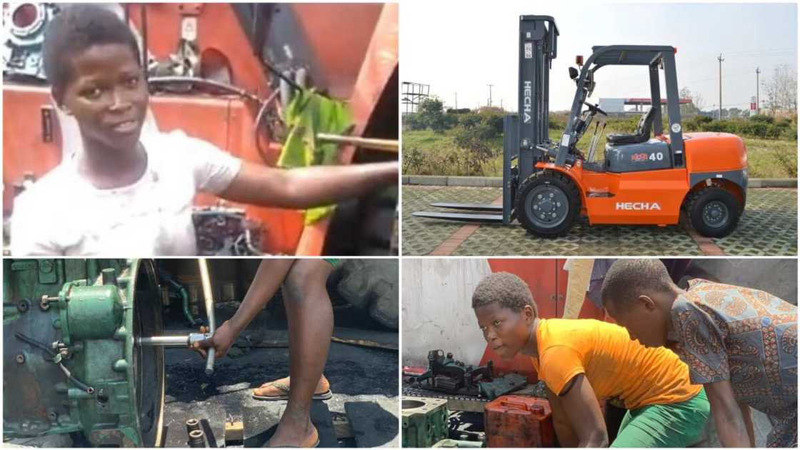 A collage showing the girl at work and a random forklift picture for illustration. Photo source: Twitter/ThepreciousAda/PKTrucks