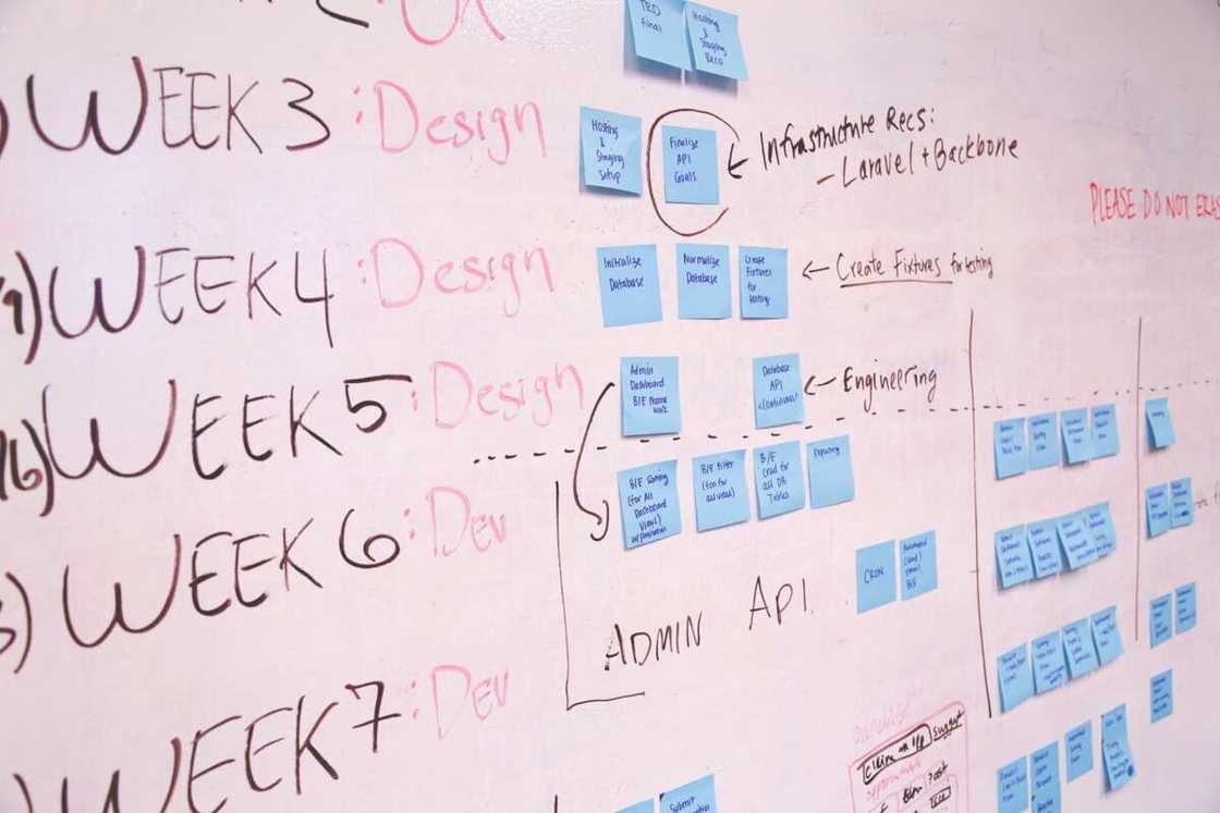 Plan your life Plan your life