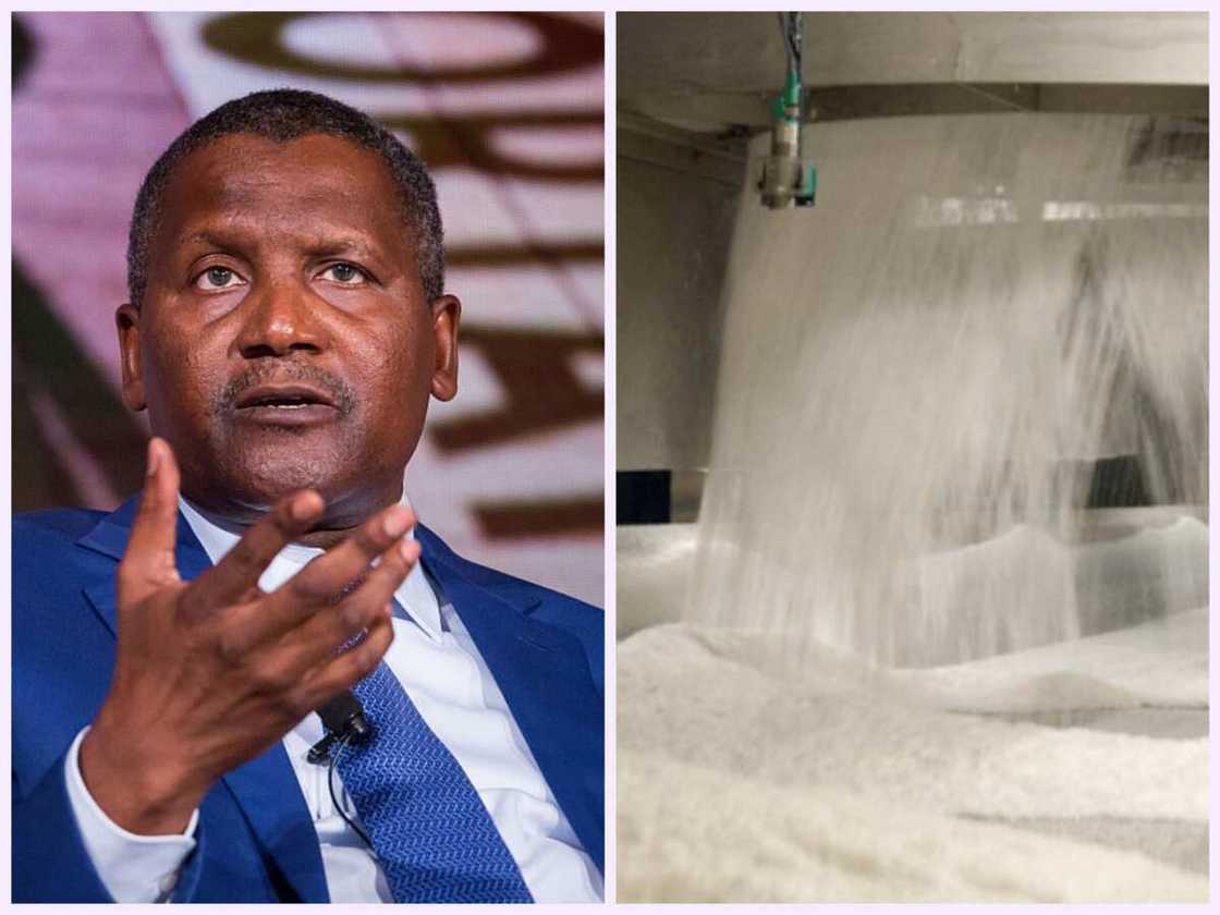 dangote sugar