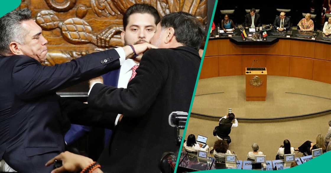 Alejandro Moreno and Gerardo Fernández Noroña trade blows in Mexico’s Senate amid cartel intervention controversy. Alejandro Moreno and Gerardo Fernández Noroña trade blows in Mexico’s Senate amid cartel intervention controversy.
