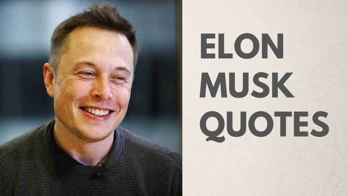Elon Musk motivational quotes Elon Musk motivational quotes