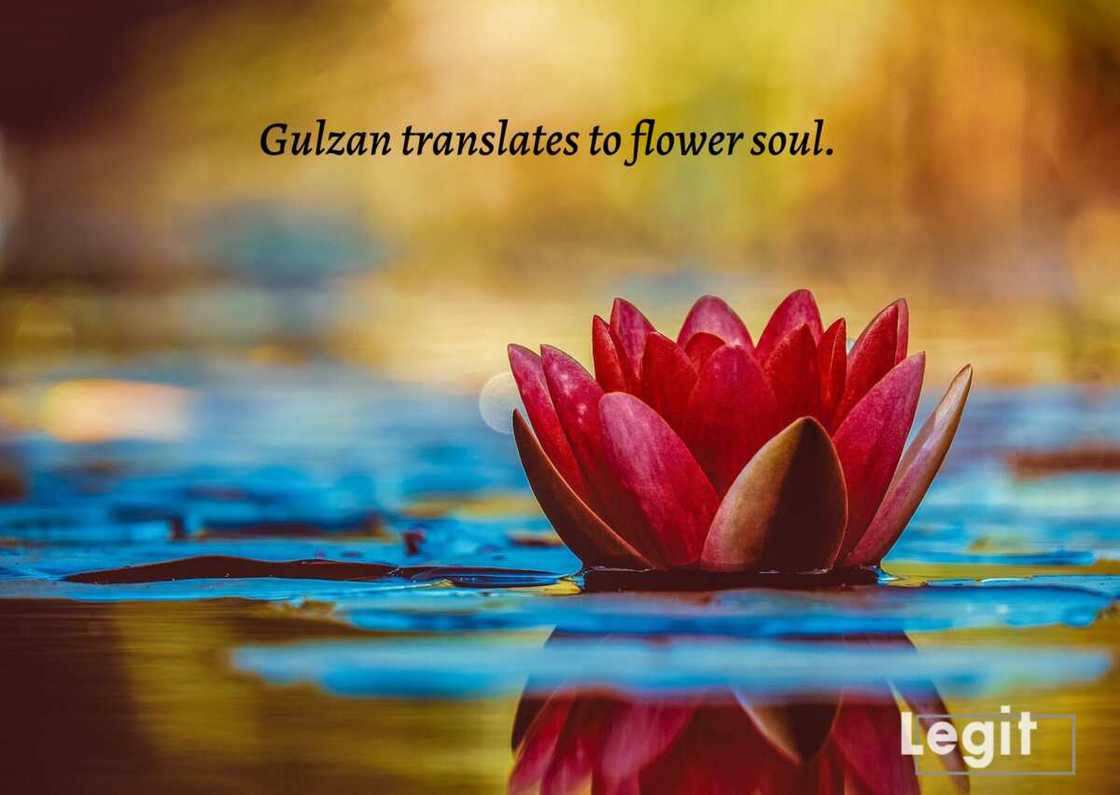 Kazakh names: Gulzan Kazakh names: Gulzan