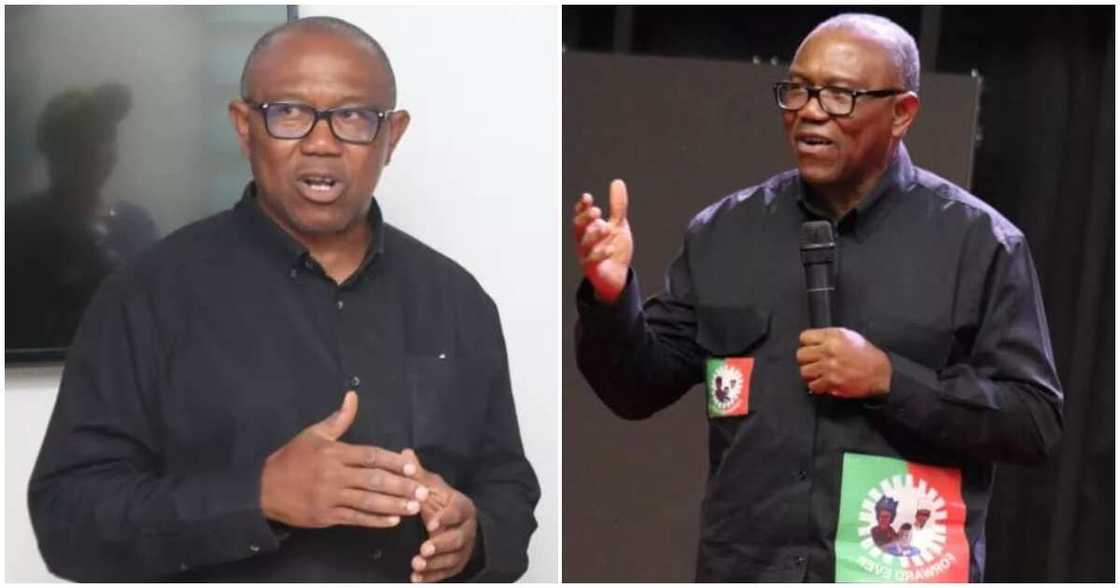 Peter Obi's identity duplication, Peter Obi's identity cloning/ Pter Obi delayed at UK airport/ identity duplication/Peter Obi