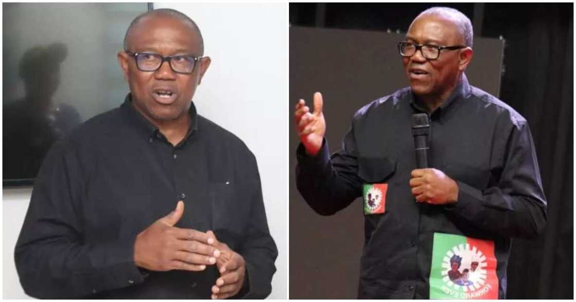 Peter Obi's identity duplication, Peter Obi's identity cloning/ Pter Obi delayed at UK airport/ identity duplication/Peter Obi Peter Obi's identity duplication, Peter Obi's identity cloning/ Pter Obi delayed at UK airport/ identity duplication/Peter Obi