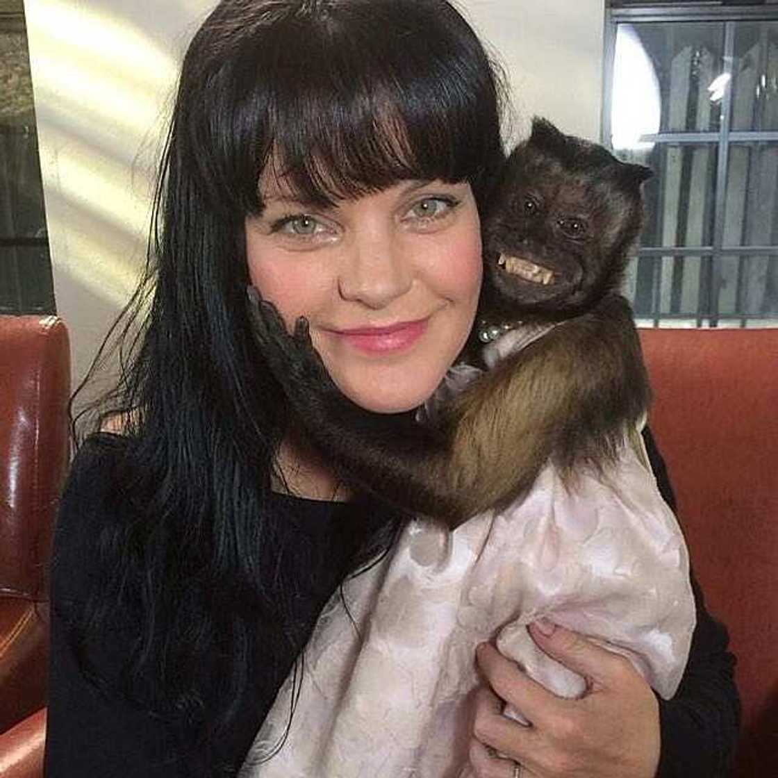 Pauley Perrette age Pauley Perrette age