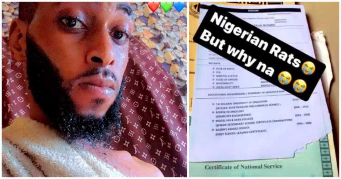 Rats, CV and certificates, job hunting for 8 years, NIgerian man