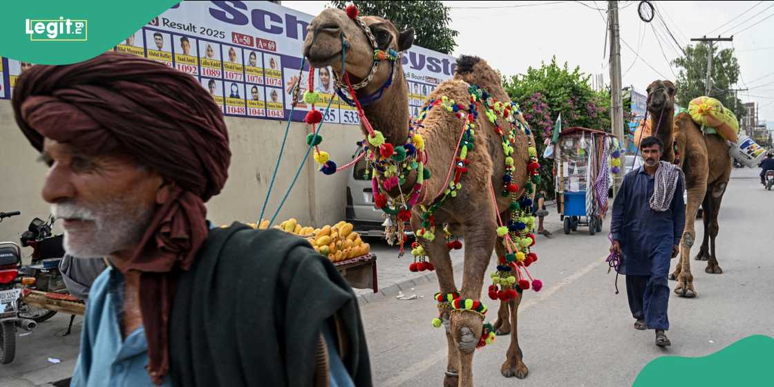 Pakistan’s federal government approved a three-day public holiday from May 26 to May 28 Pakistan’s federal government approved a three-day public holiday from May 26 to May 28