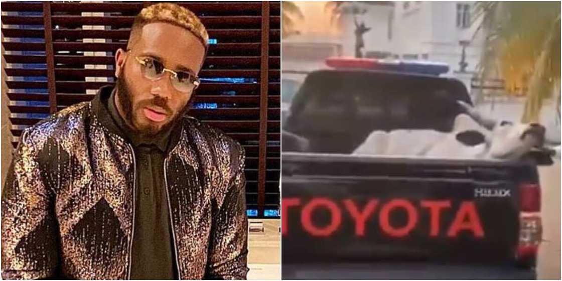 BBNaija Kiddwaya BBNaija Kiddwaya