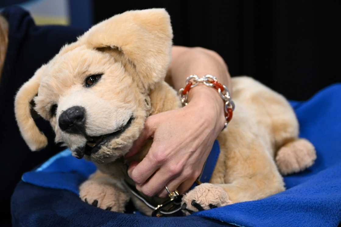 The Tombot dog robot companion for the elderly is meant to sooth people suffering from cognitive decline while not requiring the care of a real canine The Tombot dog robot companion for the elderly is meant to sooth people suffering from cognitive decline while not requiring the care of a real canine