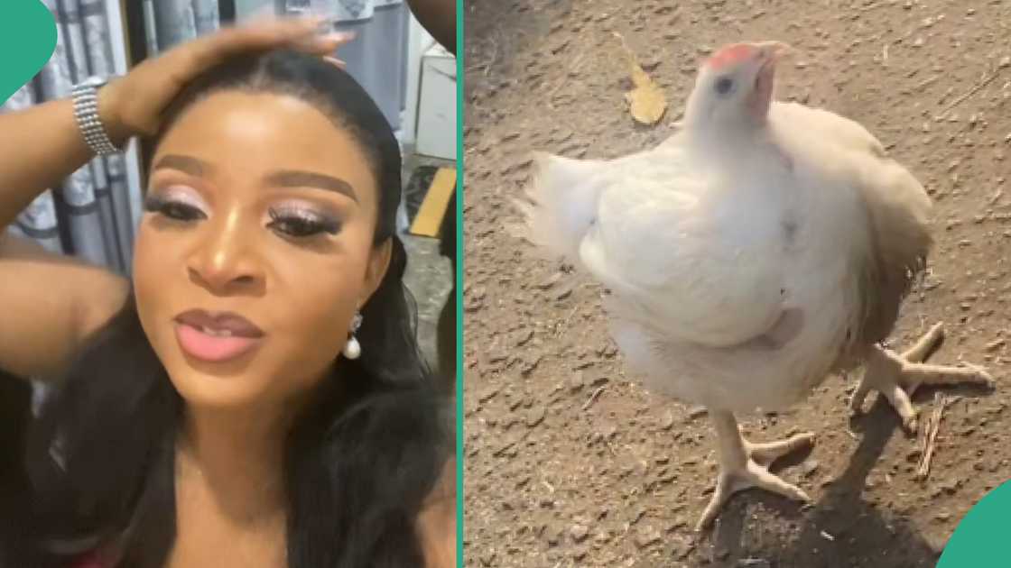 Lady sells her chicken in the market.