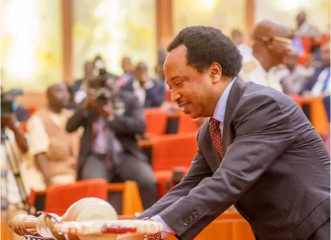 Shehu Sani Shehu Sani