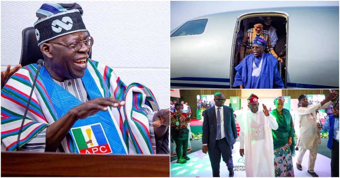 APC, Bola Tinubu, 2023 elections, INEC APC, Bola Tinubu, 2023 elections, INEC