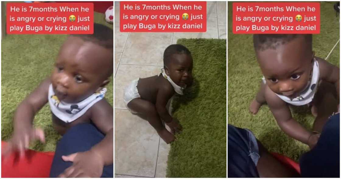 Buga baby, crying baby, baby likes Buga, baby dancing to Buga, 7 months old baby dancing to Buga song Buga baby, crying baby, baby likes Buga, baby dancing to Buga, 7 months old baby dancing to Buga song