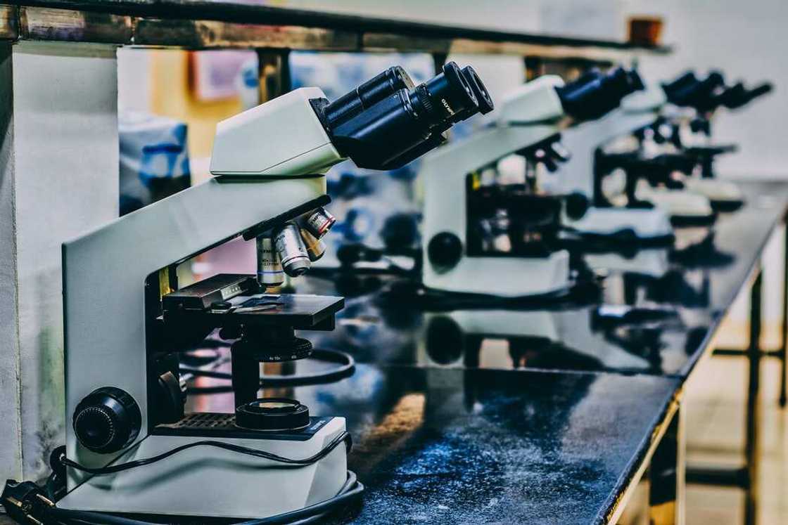 What are the ethical issues in research? What are the ethical issues in research?