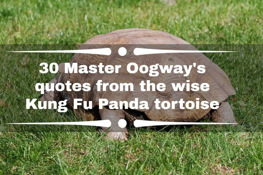 kung fu panda quotes