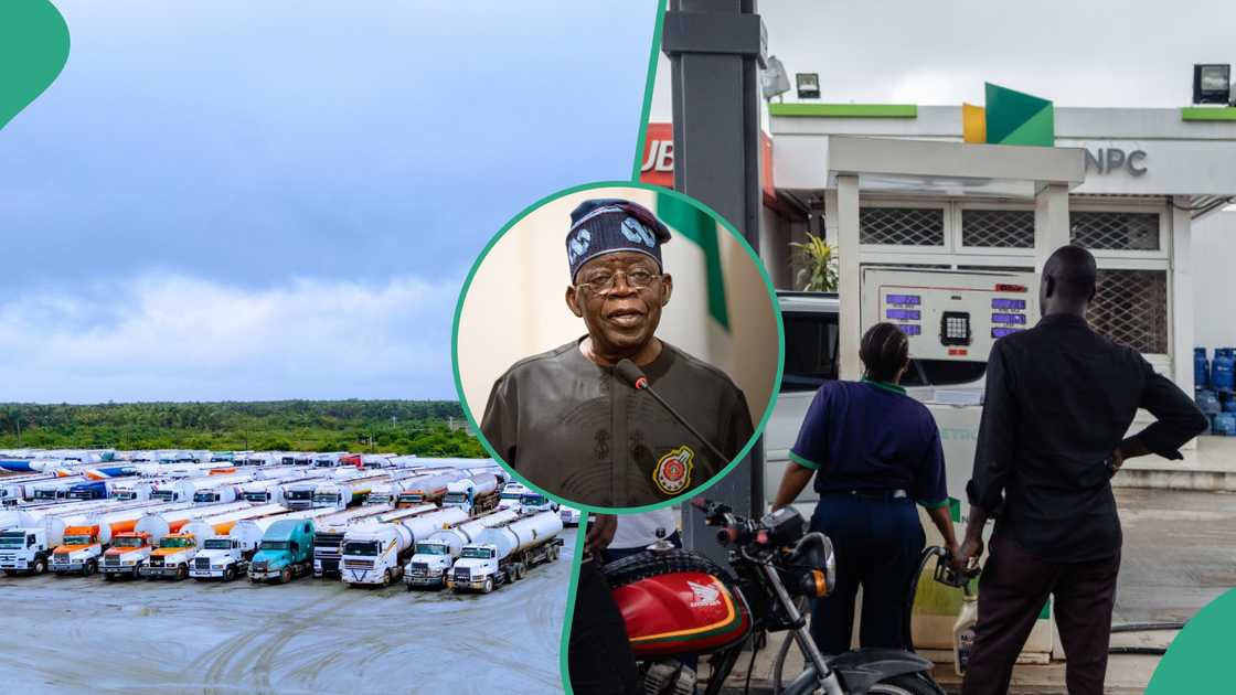 Tinubu hands-off on petrol price war Tinubu hands-off on petrol price war