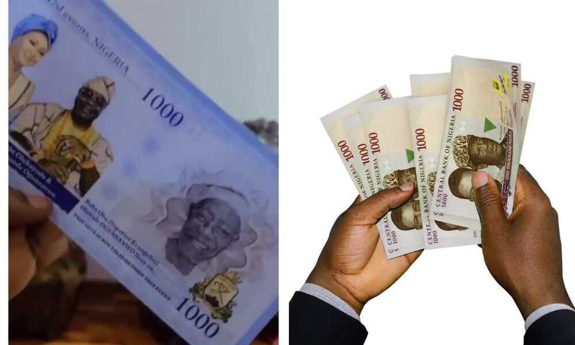 Naira notes, CBN, vouchers Naira notes, CBN, vouchers