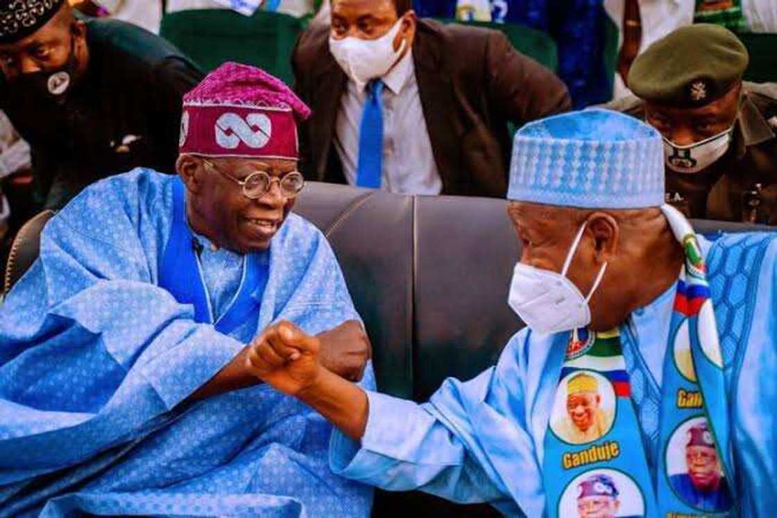Bola Tinubu da Abdullahi Ganduje Bola Tinubu da Abdullahi Ganduje