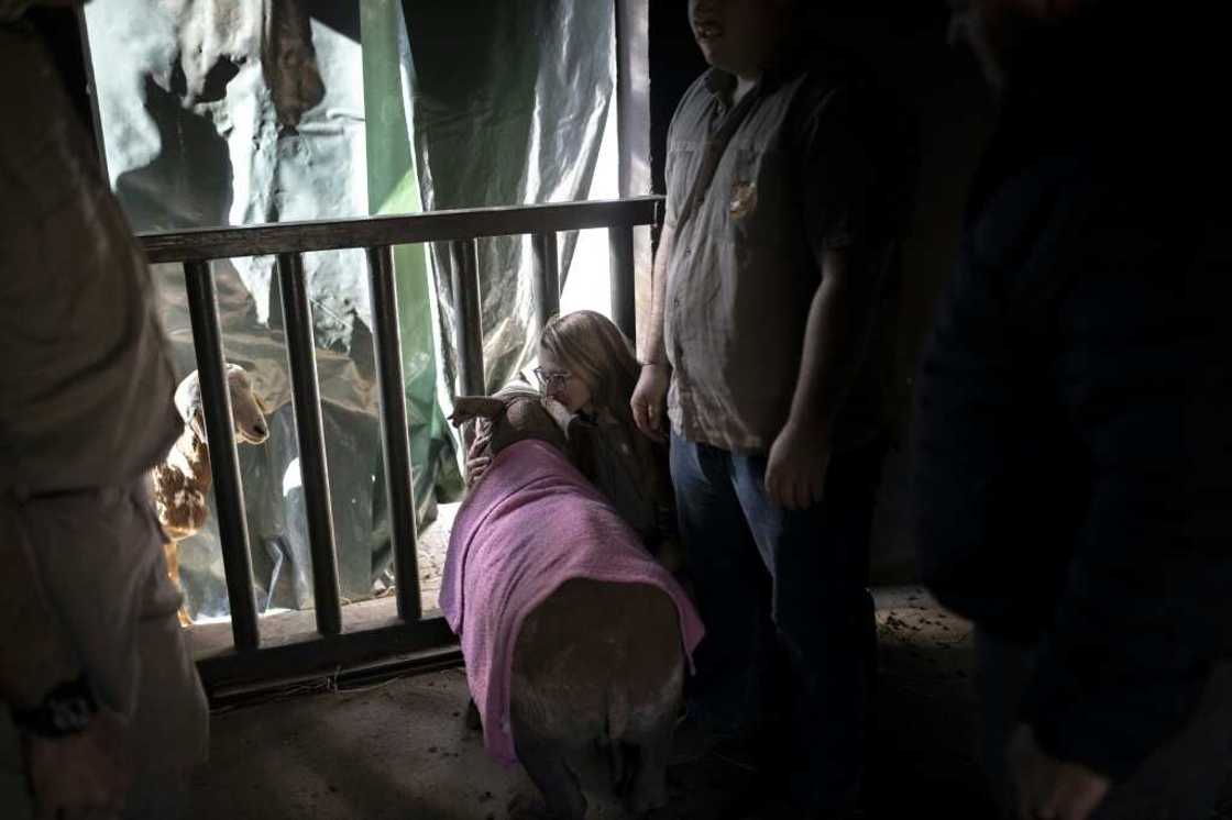 Contact: Rhino calf and carer Contact: Rhino calf and carer