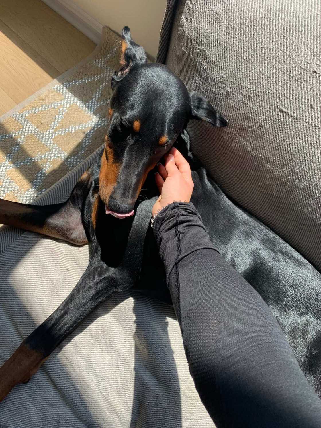 Brooke Houts dog Brooke Houts dog