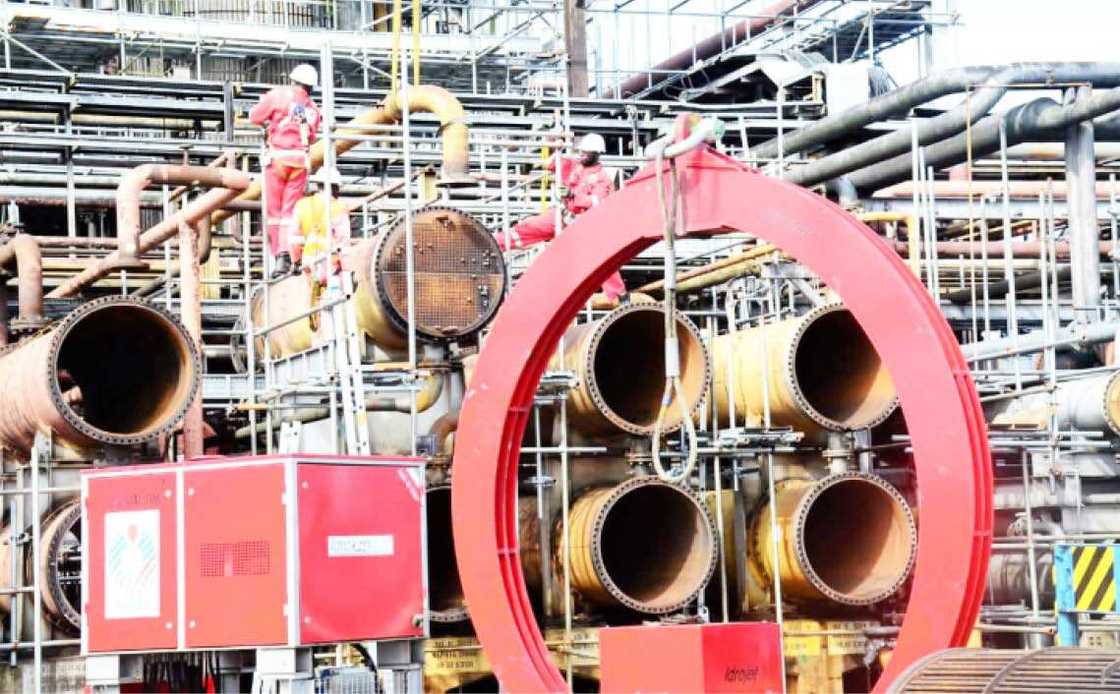 Matatar mai dake Patakwal. Matatar mai dake Patakwal.