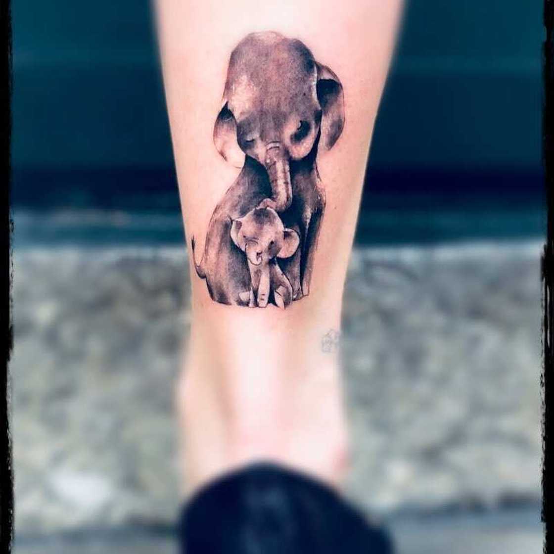 Baby elephant tattoo Baby elephant tattoo