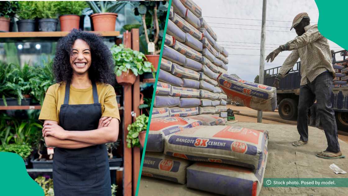 Dangote Cement has empowered farmers in Nigerian villages including Oyo and Apata. Dangote Cement has empowered farmers in Nigerian villages including Oyo and Apata.