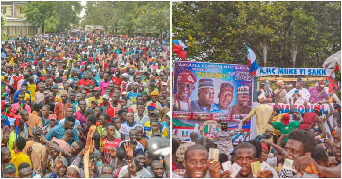 Borno youths, Bola Tinubu, PDP, APC, Atiku Abubakar, Kashim Shettima