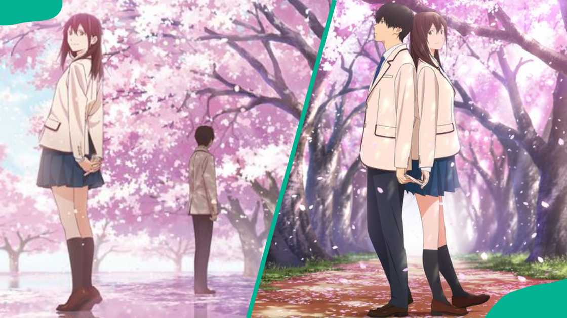 best high school romance anime movies best high school romance anime movies